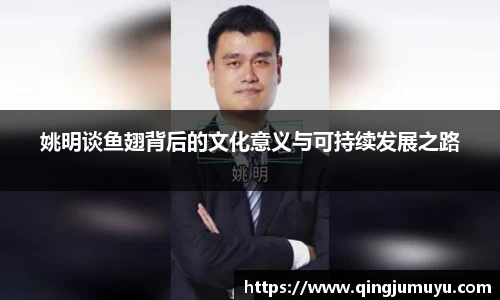 星空综合官网